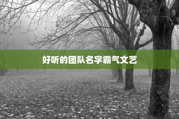 好听的团队名字霸气文艺