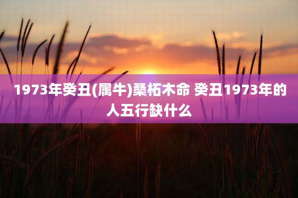 1973年癸丑(属牛)桑柘木命 癸丑1973年的人五行缺什么