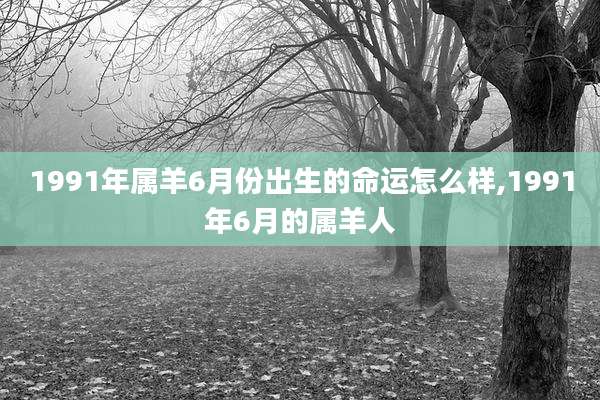 1991年属羊6月份出生的命运怎么样,1991年6月的属羊人