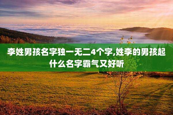 李姓男孩名字独一无二4个字,姓李的男孩起什么名字霸气又好听
