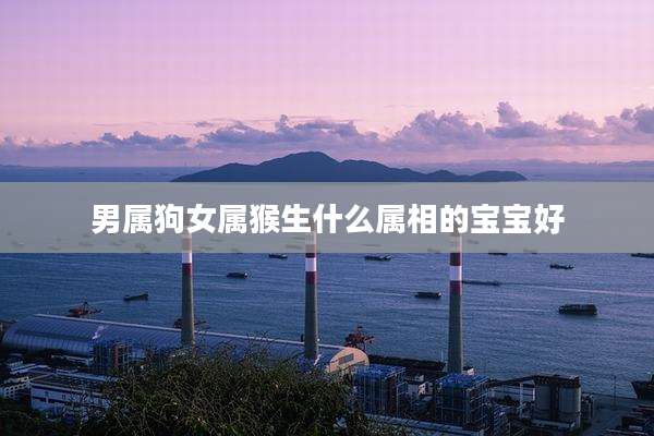 男属狗女属猴生什么属相的宝宝好