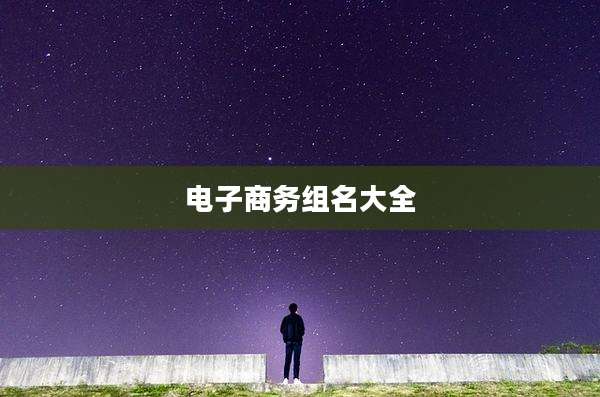 电子商务组名大全