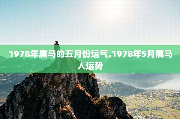 1978年属马的五月份运气,1978年5月属马人运势