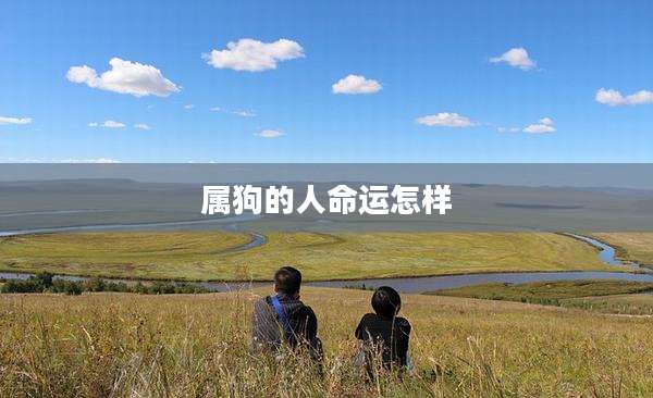 属狗的人命运怎样