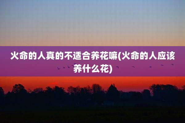 火命的人真的不适合养花嘛(火命的人应该养什么花)