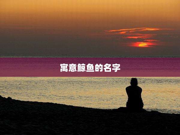 寓意鲸鱼的名字