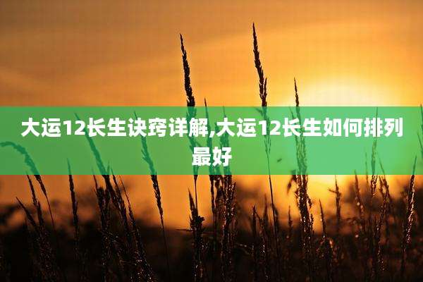 大运12长生诀窍详解,大运12长生如何排列最好