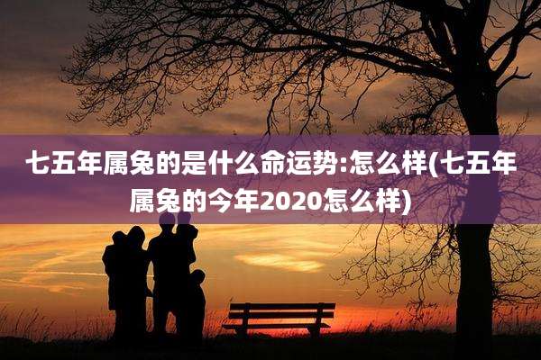七五年属兔的是什么命运势:怎么样(七五年属兔的今年2020怎么样)