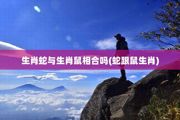 生肖蛇与生肖鼠相合吗(蛇跟鼠生肖)