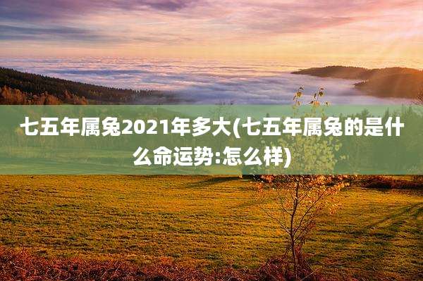 七五年属兔2021年多大(七五年属兔的是什么命运势:怎么样)
