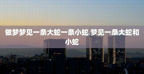 做梦梦见一条大蛇一条小蛇 梦见一条大蛇和小蛇