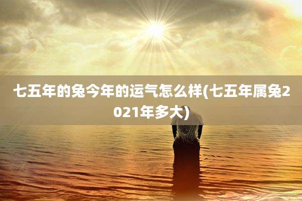 七五年的兔今年的运气怎么样(七五年属兔2021年多大)