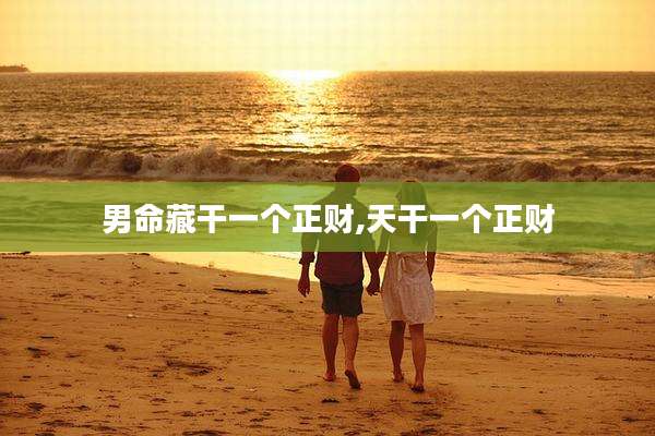 男命藏干一个正财,天干一个正财