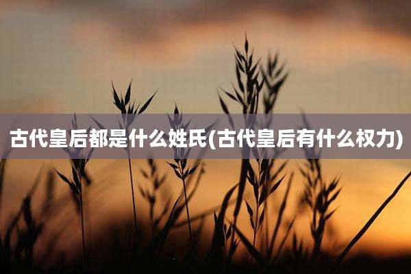 古代皇后都是什么姓氏(古代皇后有什么权力)