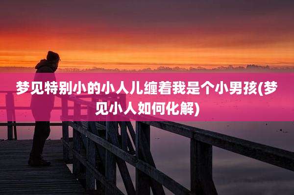 梦见特别小的小人儿缠着我是个小男孩(梦见小人如何化解)