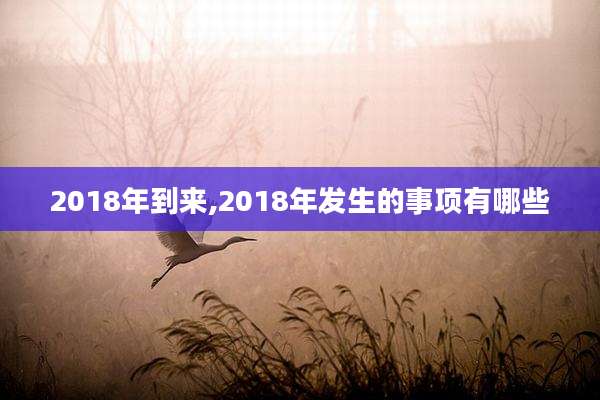 2018年到来,2018年发生的事项有哪些