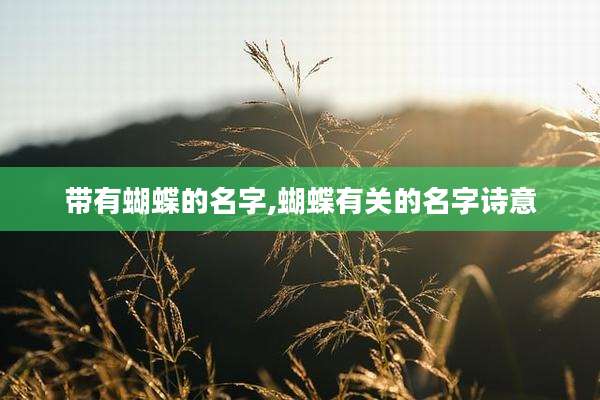 带有蝴蝶的名字,蝴蝶有关的名字诗意