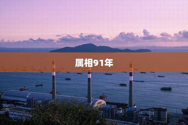 属相91年