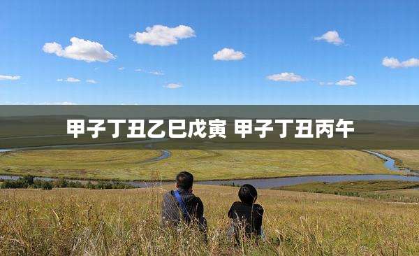 甲子丁丑乙巳戊寅 甲子丁丑丙午