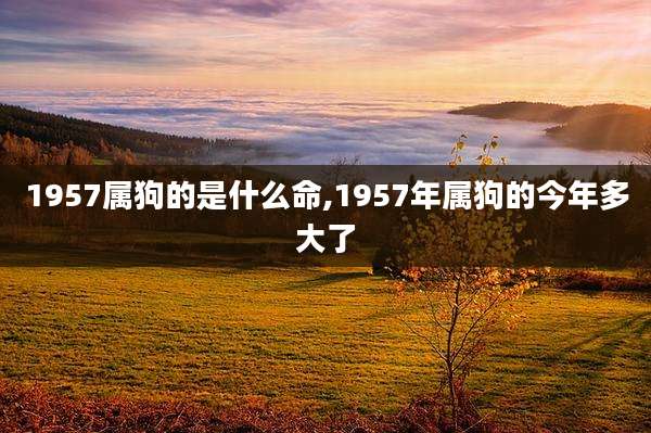 1957属狗的是什么命,1957年属狗的今年多大了