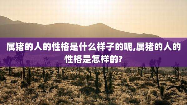 属猪的人的性格是什么样子的呢,属猪的人的性格是怎样的?