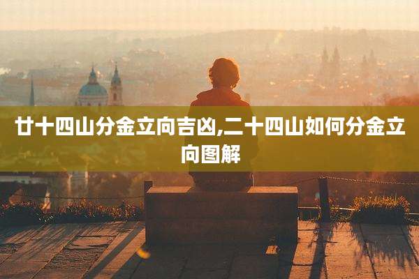廿十四山分金立向吉凶,二十四山如何分金立向图解
