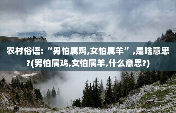 农村俗语:“男怕属鸡,女怕属羊”,是啥意思?(男怕属鸡,女怕属羊,什么意思?)