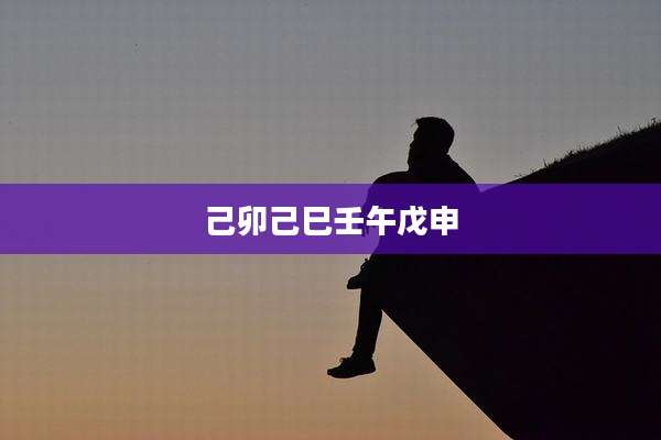 己卯己巳壬午戊申