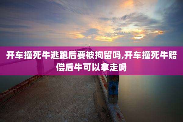 开车撞死牛逃跑后要被拘留吗,开车撞死牛赔偿后牛可以拿走吗