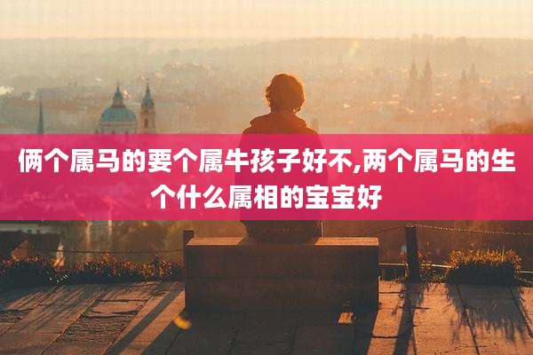 俩个属马的要个属牛孩子好不,两个属马的生个什么属相的宝宝好