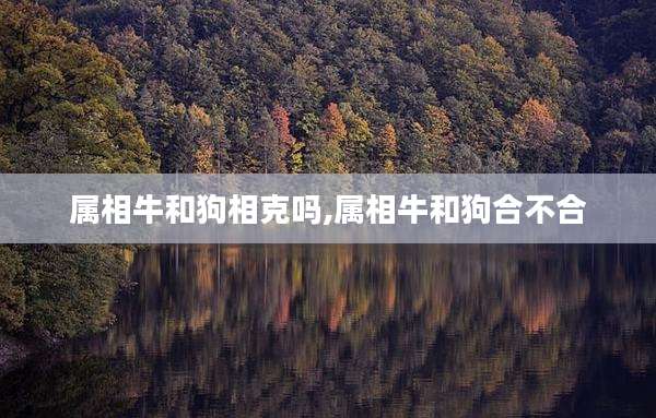 属相牛和狗相克吗,属相牛和狗合不合
