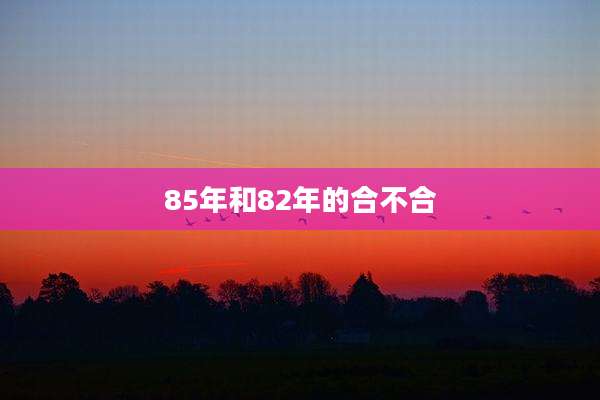 85年和82年的合不合