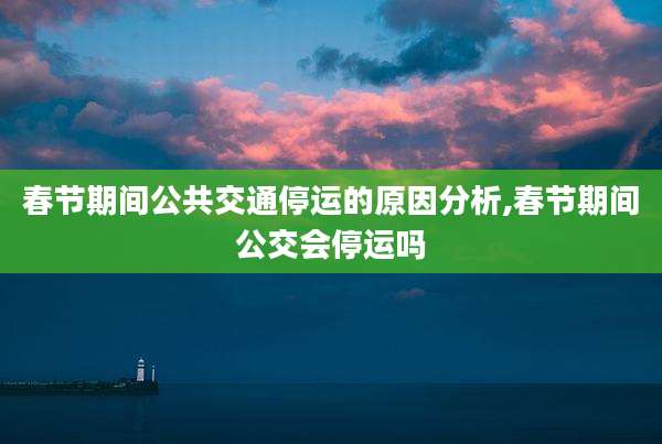 春节期间公共交通停运的原因分析,春节期间公交会停运吗