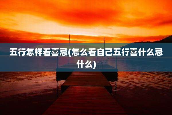 五行怎样看喜忌(怎么看自己五行喜什么忌什么)