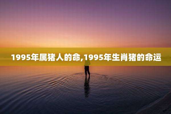1995年属猪人的命,1995年生肖猪的命运