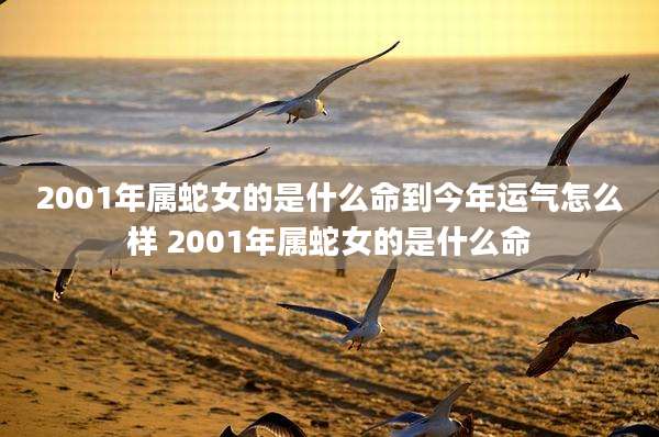 2001年属蛇女的是什么命到今年运气怎么样 2001年属蛇女的是什么命