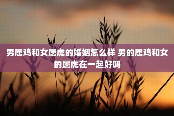 男属鸡和女属虎的婚姻怎么样 男的属鸡和女的属虎在一起好吗