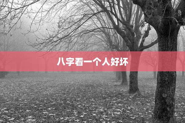 八字看一个人好坏