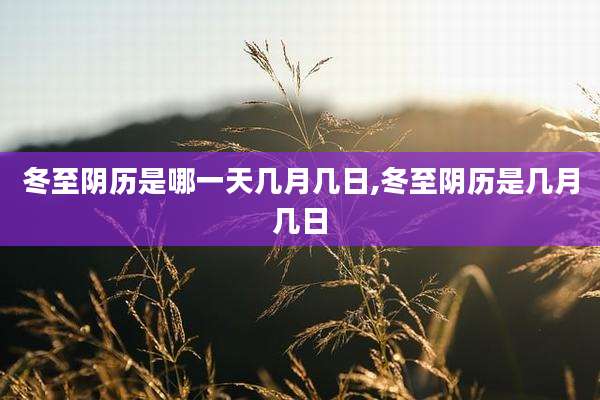 冬至阴历是哪一天几月几日,冬至阴历是几月几日