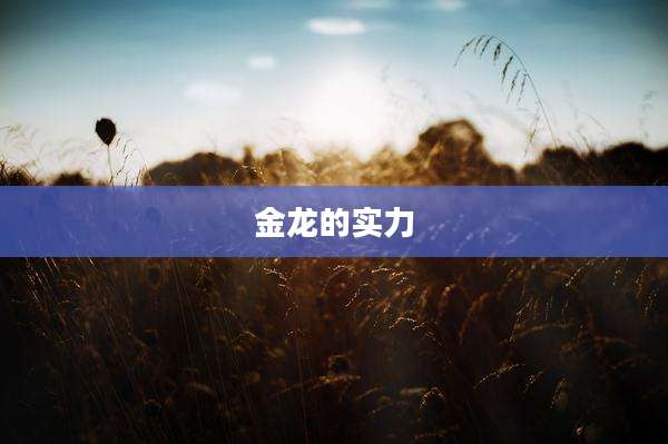金龙的实力