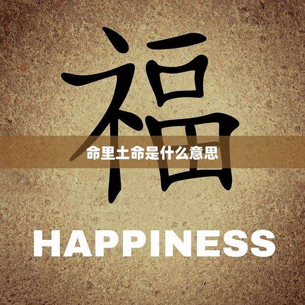 命里土命是什么意思