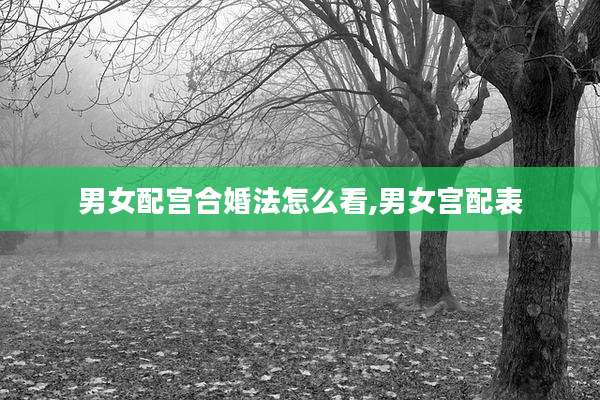 男女配宫合婚法怎么看,男女宫配表