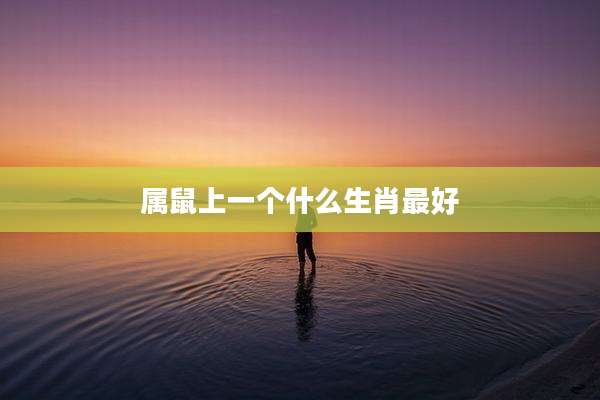 属鼠上一个什么生肖最好