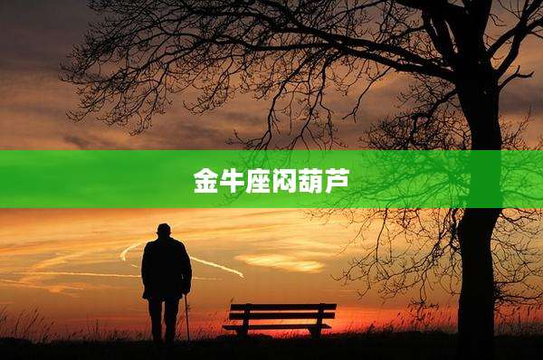 金牛座闷葫芦