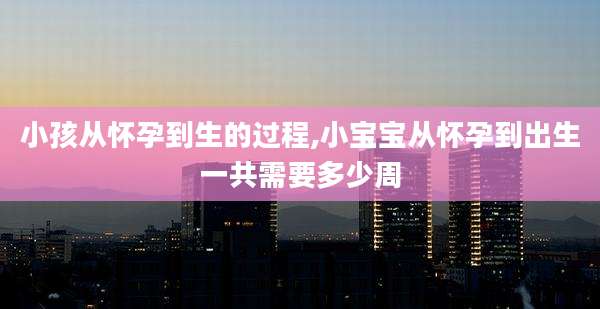 小孩从怀孕到生的过程,小宝宝从怀孕到出生一共需要多少周
