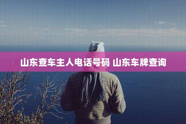 山东查车主人电话号码 山东车牌查询