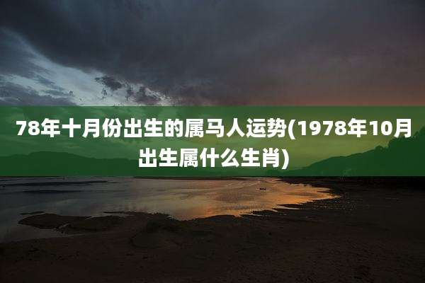 78年十月份出生的属马人运势(1978年10月出生属什么生肖)