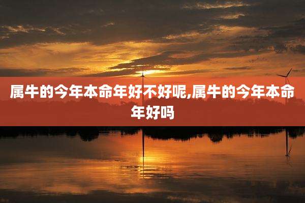 属牛的今年本命年好不好呢,属牛的今年本命年好吗