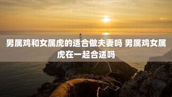 男属鸡和女属虎的适合做夫妻吗 男属鸡女属虎在一起合适吗