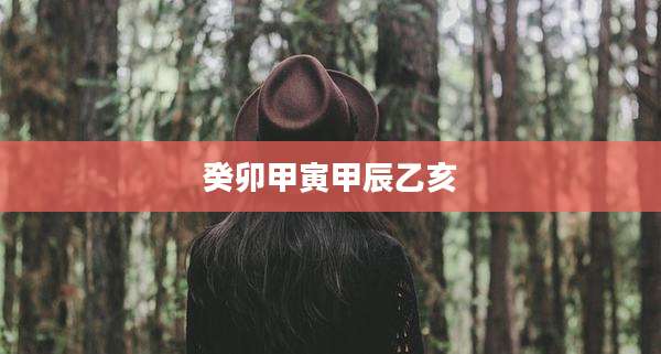 癸卯甲寅甲辰乙亥